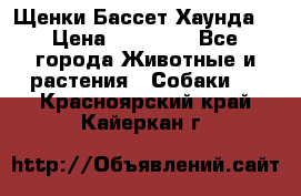 Щенки Бассет Хаунда  › Цена ­ 25 000 - Все города Животные и растения » Собаки   . Красноярский край,Кайеркан г.